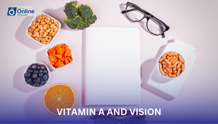 Lesson 13: Vitamin A and Vision
